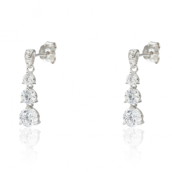 BRINCOS PRATA RODEADA