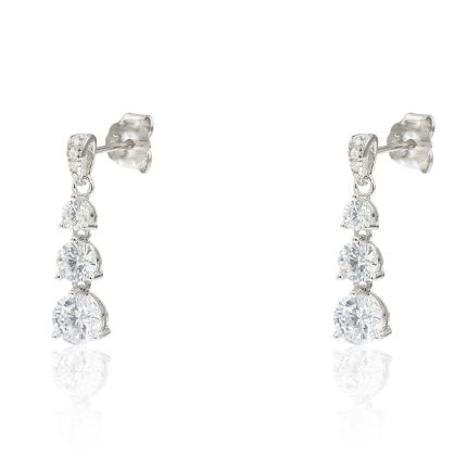 BRINCOS PRATA RODEADA