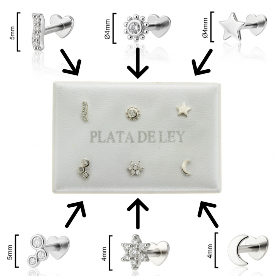 BRINCOS PRATA RODEADA