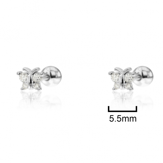 BRINCOS PRTA RODEADA