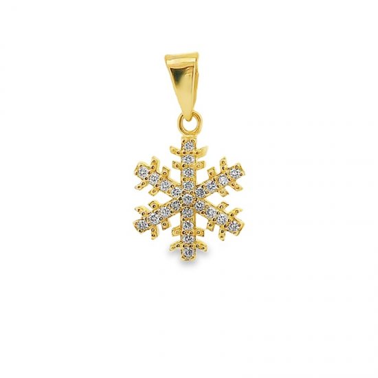 MEDALHA PRATA RODEADA OU DOURADA