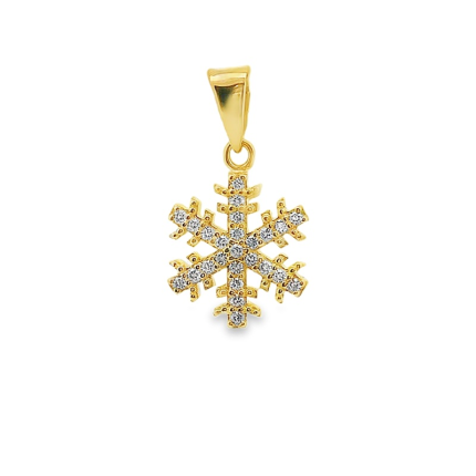 MEDALHA PRATA RODEADA OU DOURADA