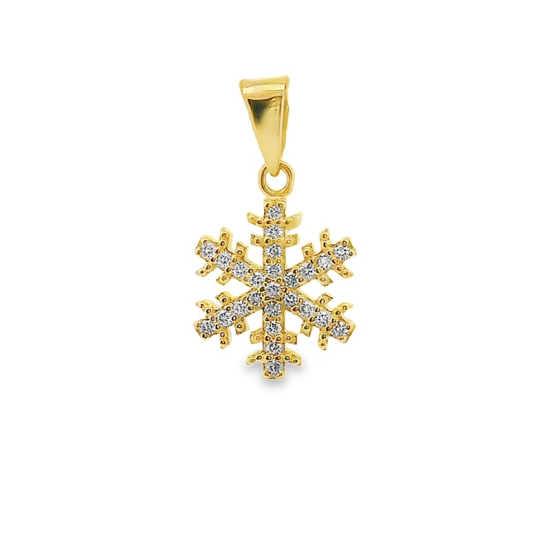 MEDALHA PRATA RODEADA OU DOURADA